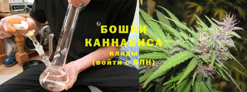 наркотики  Полевской  Марихуана White Widow 